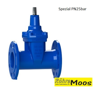 FLANSCH-Schieber NW100 Typ FUC3000 SPEZIAL 25bar