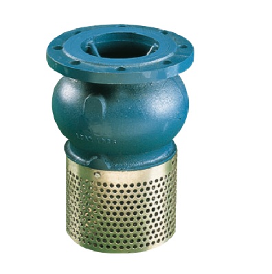 SaugFuss Guss mit Chromstahl Korb NW150